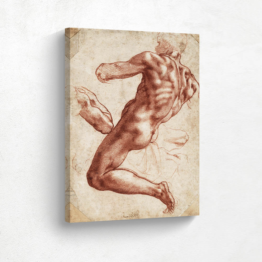 Study of Nude Body