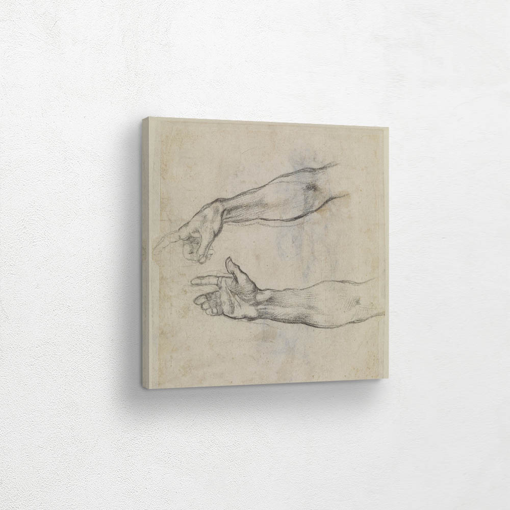 Studies of an OutStretched Arm The Drunkenness of Noah