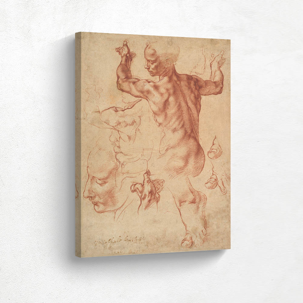 Study to the Libyan Sibyl