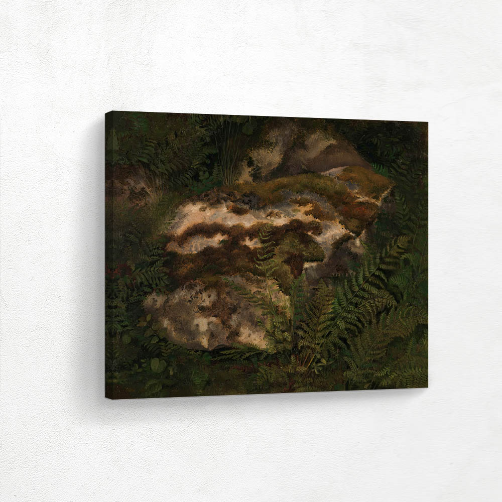Study of an Moss-covered Stone and Ferns
