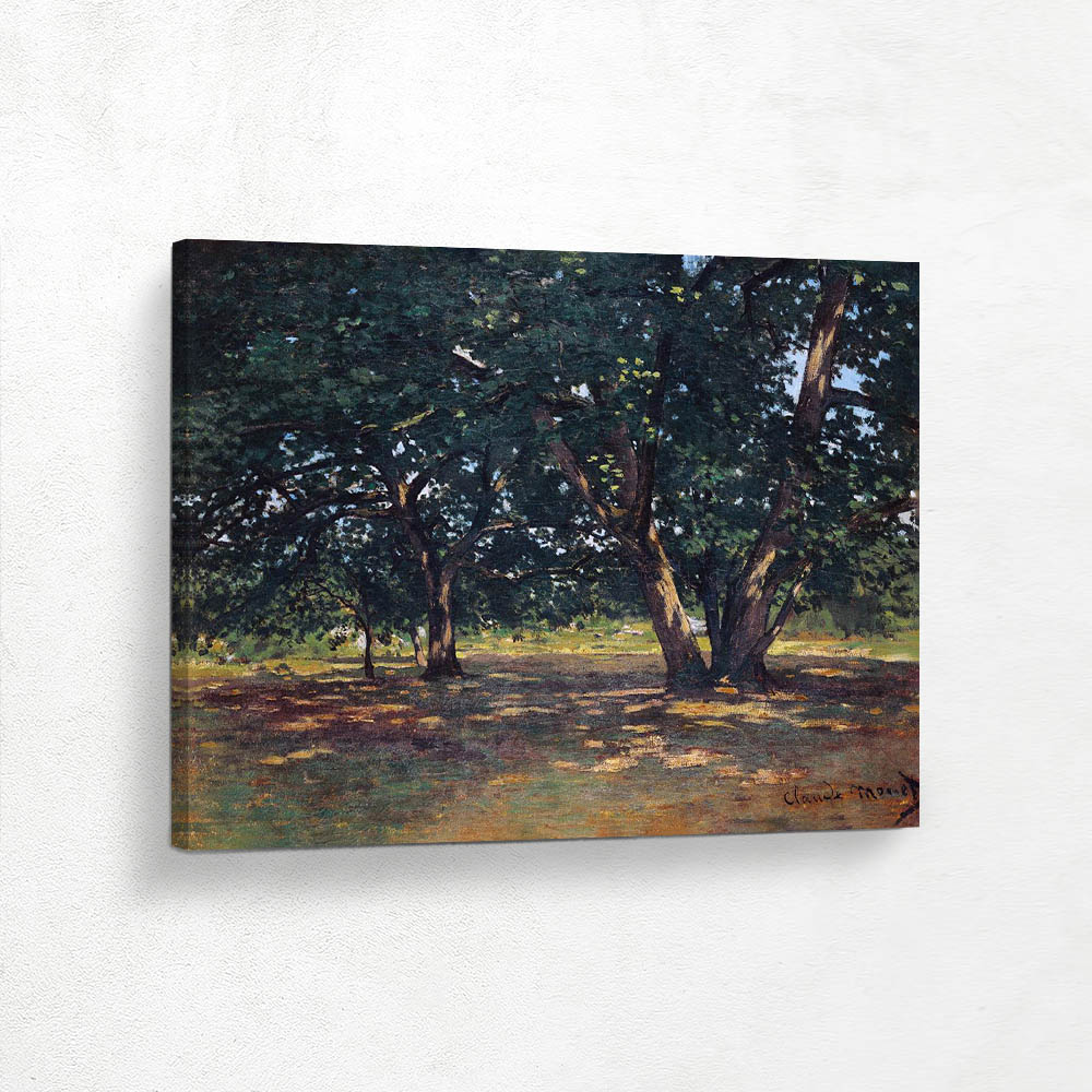 Fontainebleau Forest