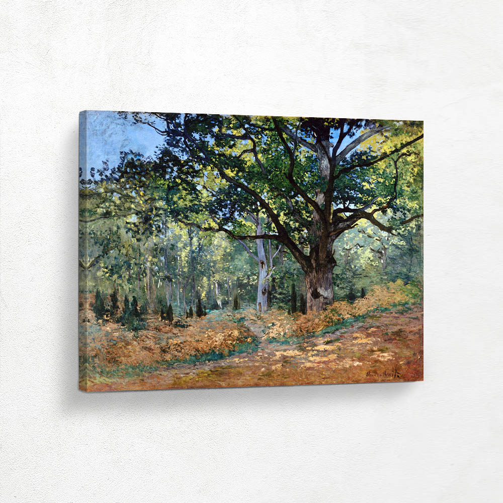 The Bodmer Oak Fontainebleau