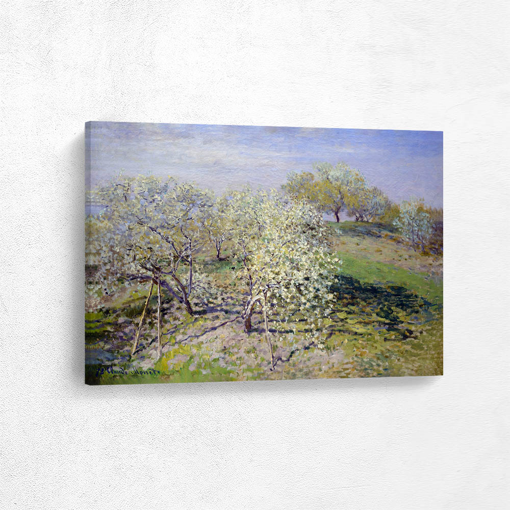 Apple Trees in Bloom