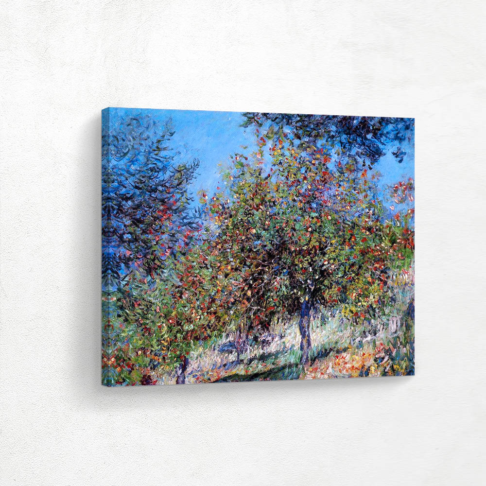 Apple Trees on the Chantemesle Hill