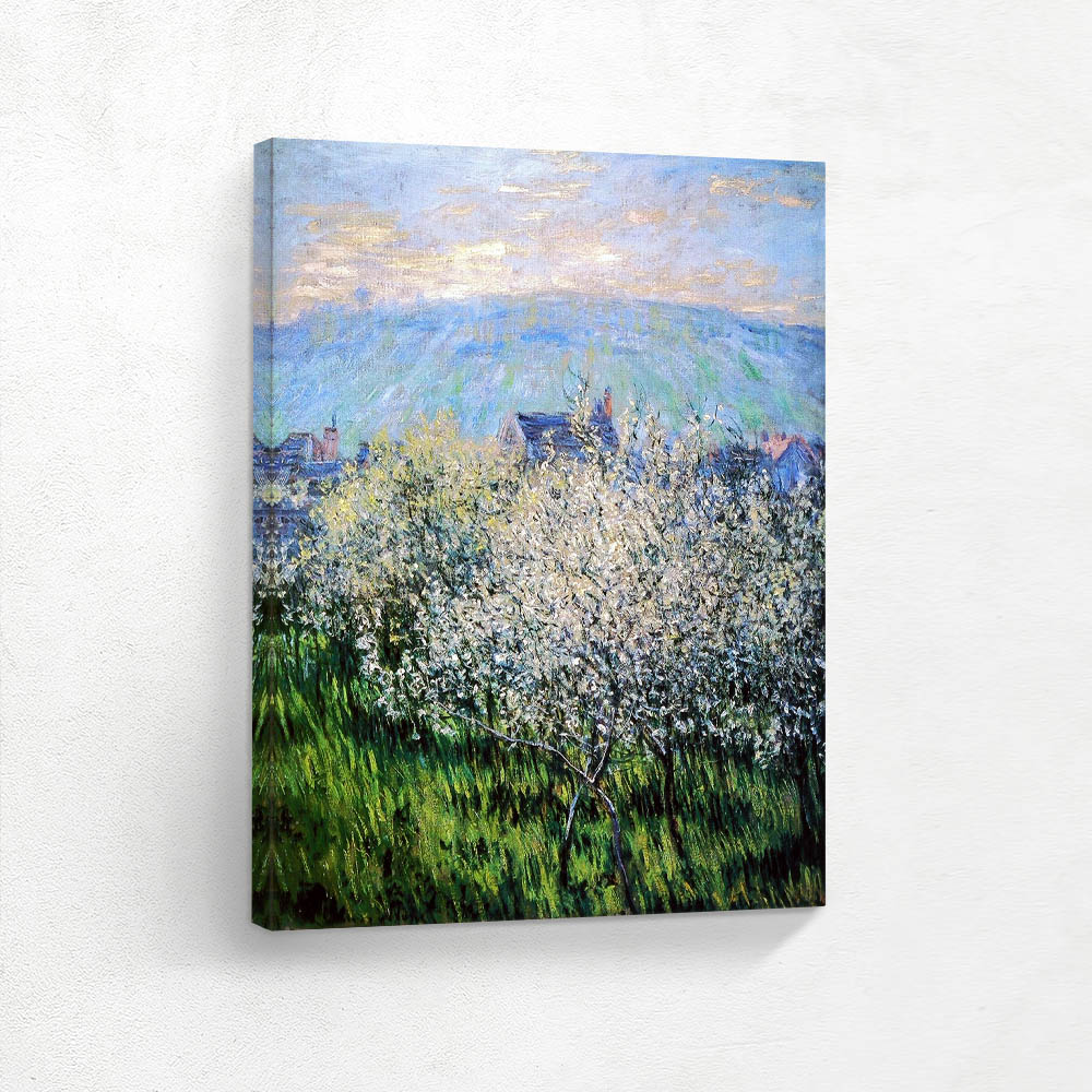 Plums Blossom
