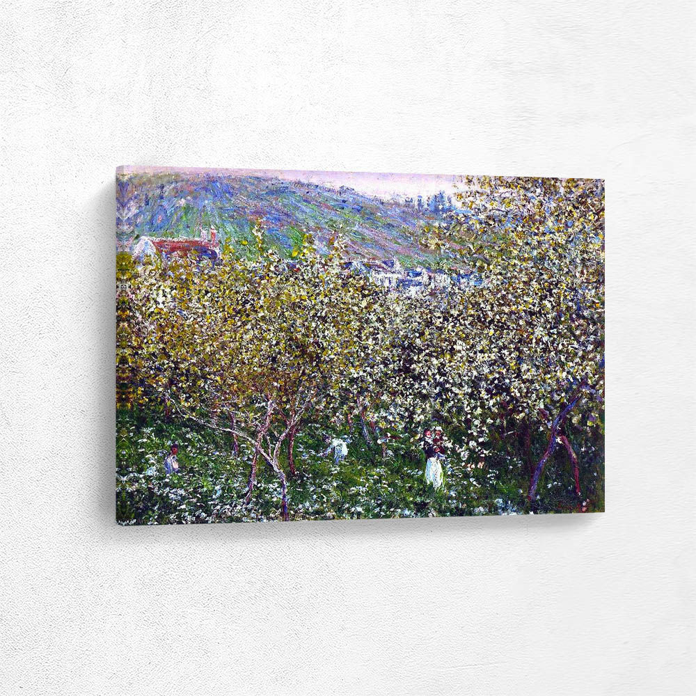 Vetheuil Flowering Plum Trees