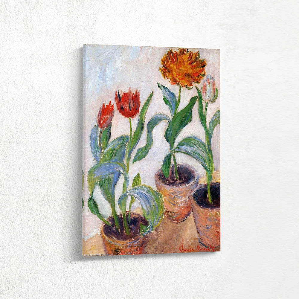 Three Pots of Tulips