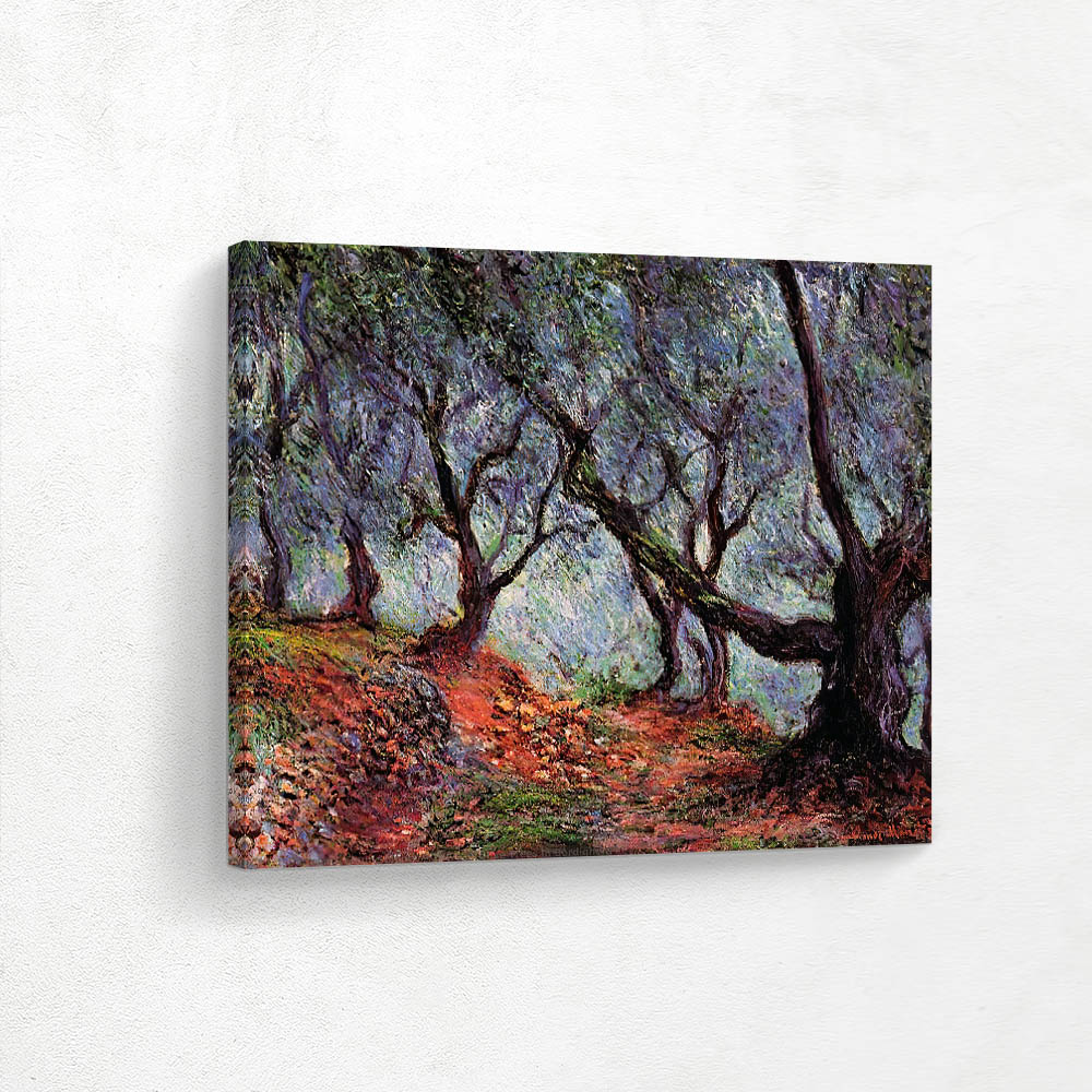 Grove of Olive Trees in Bordighera