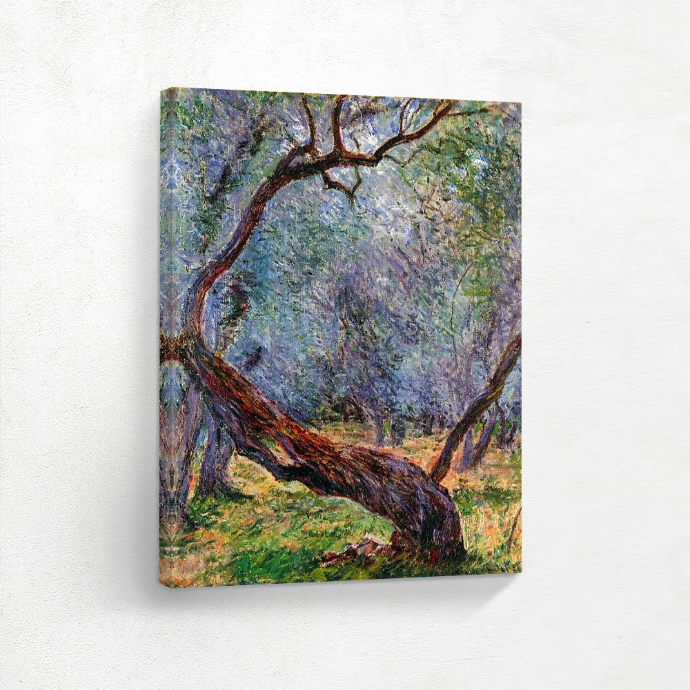 Olive Trees Study
