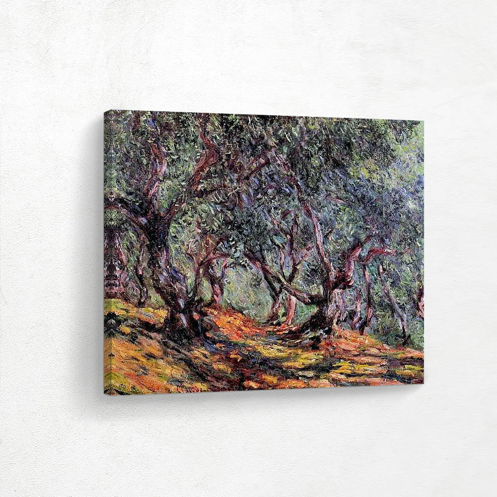 Olive Trees in Bordigher