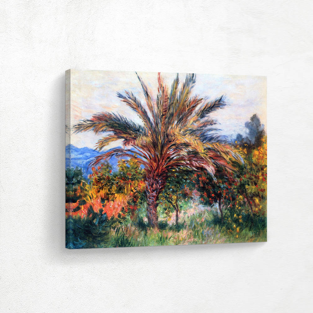 Palm Tree at Bordighera
