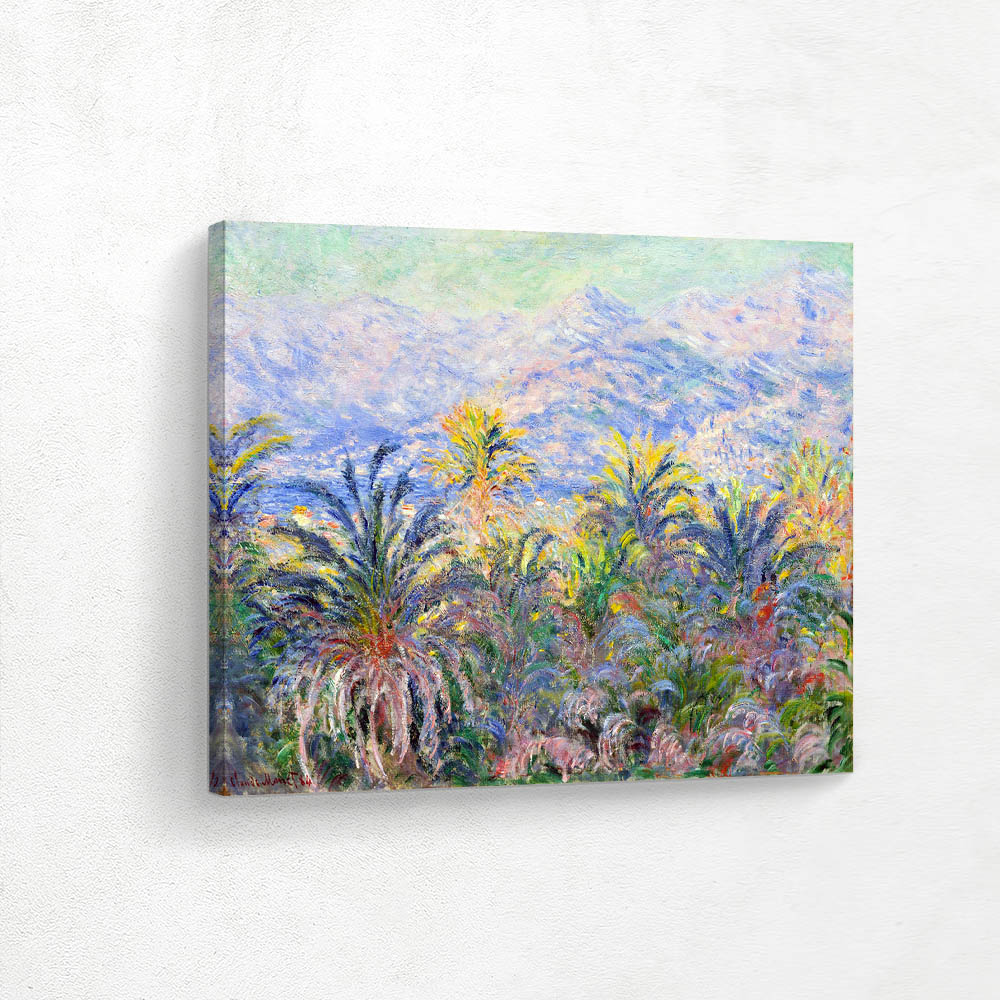 Palm Trees at Bordighera