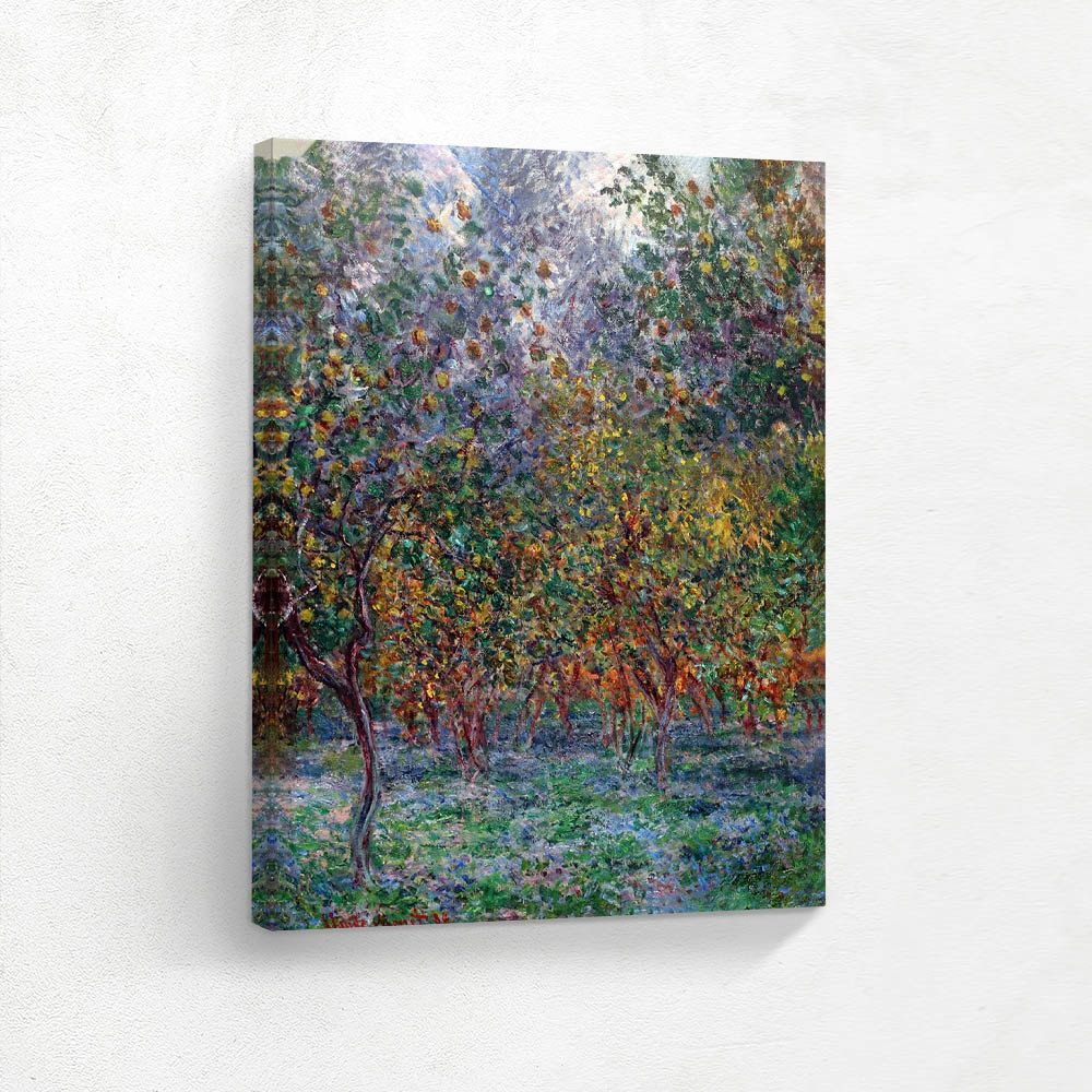 Under the Lemon Trees