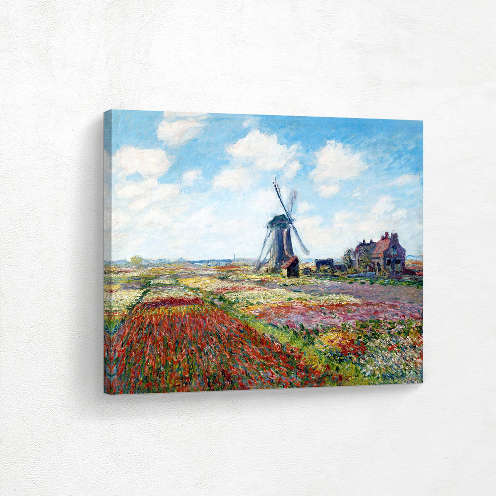 Fields of Tulip With The Rijnsburg Windmill