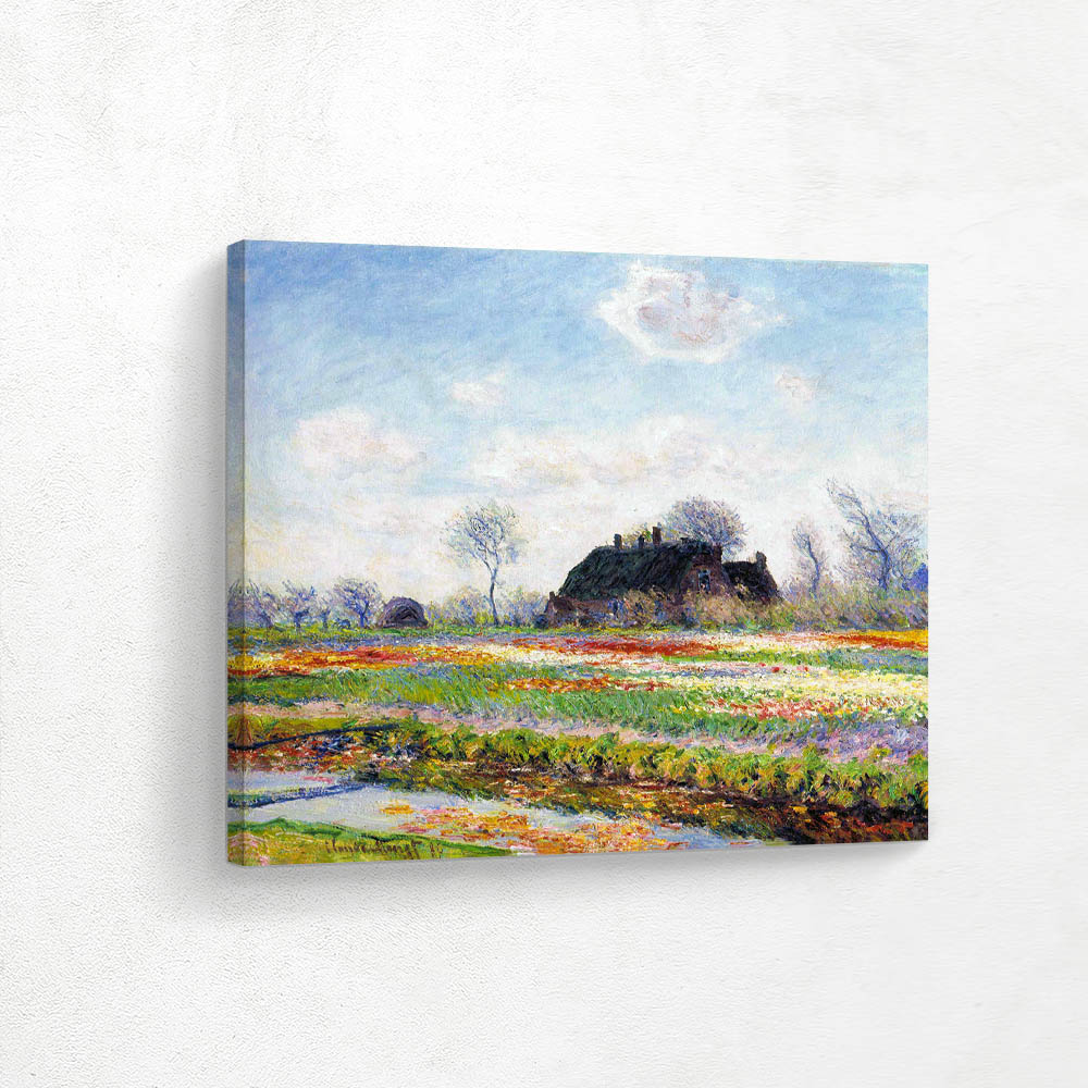 Tulip Fields at Sassenheim near Leiden