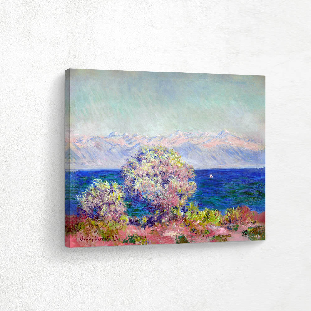 At Cap d Antibes Mistral Wind