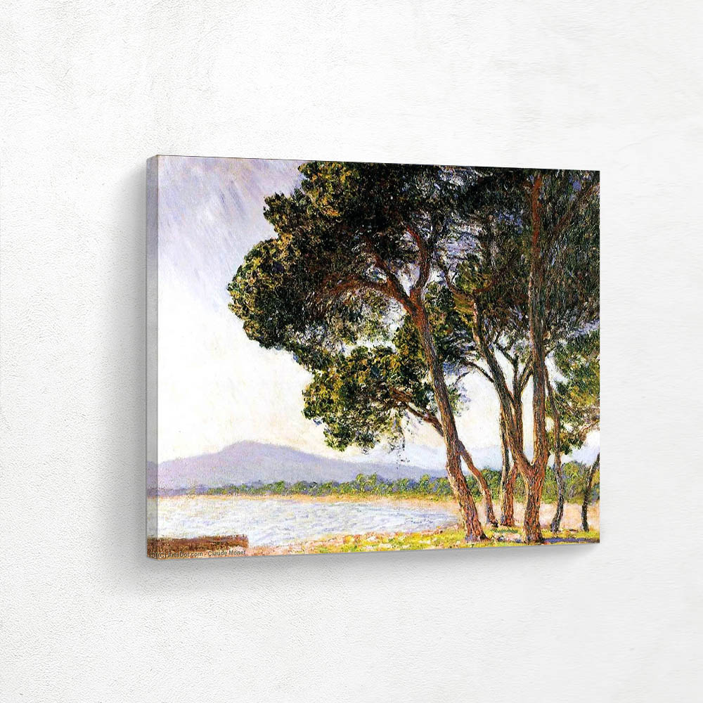 Beach in Juan les Pins