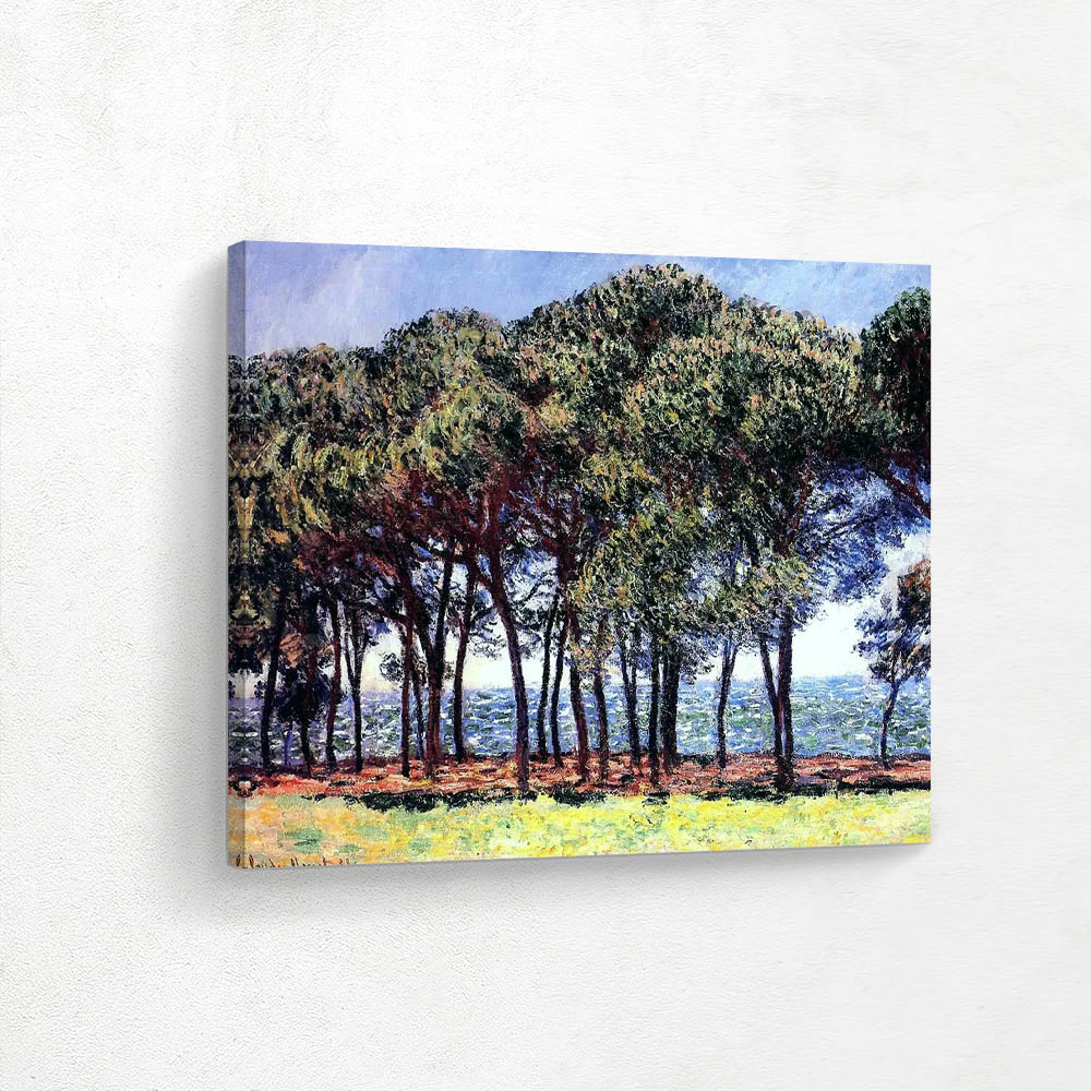Pine Trees Cap d Antibes