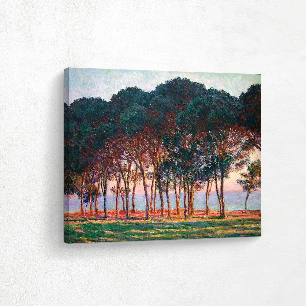 Under the Pine Trees at the End of the Day