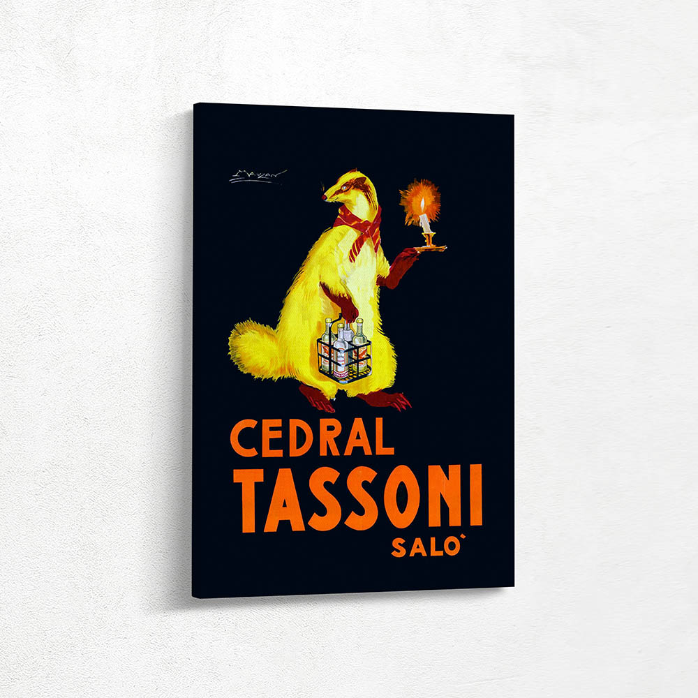 Cedral Tassoni Salo