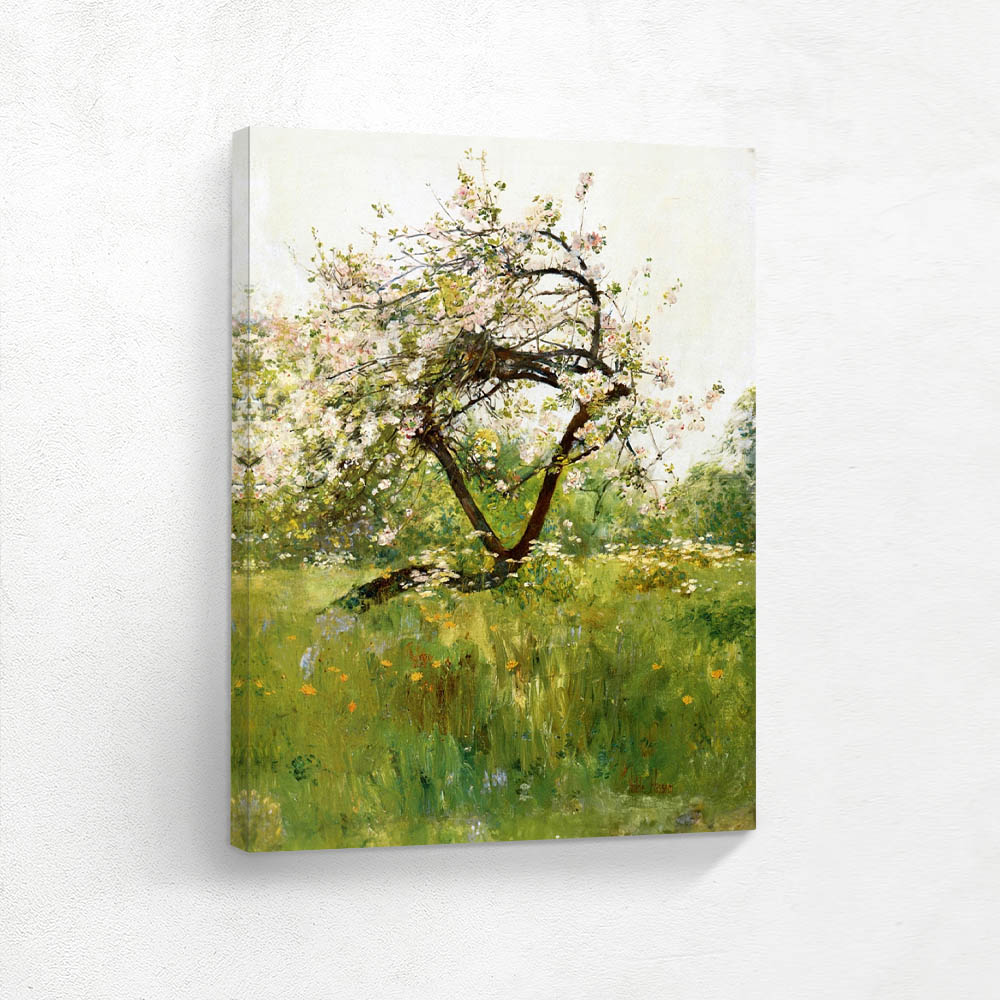 Peach Blossoms – Villiers-le-Bel