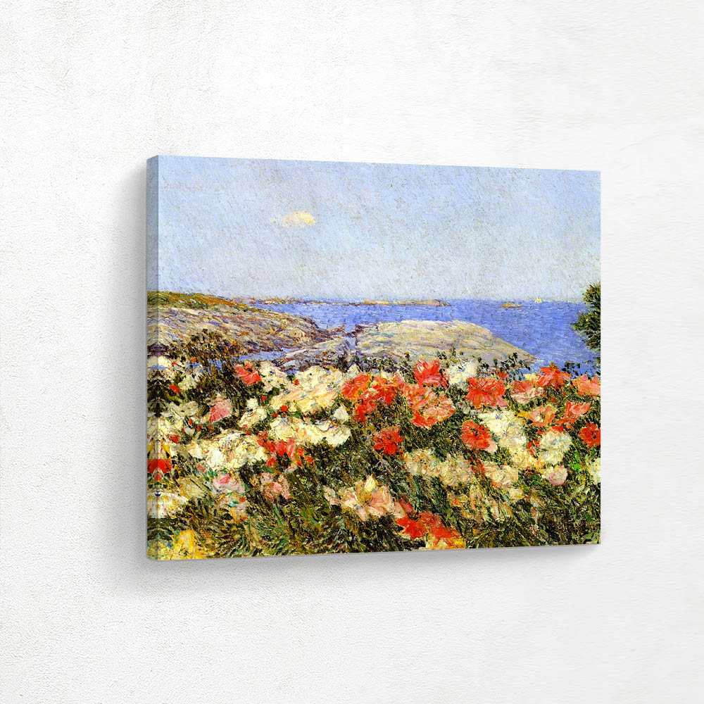 Poppies on the Isles of Shoals Poppies on the Isles of Shoals