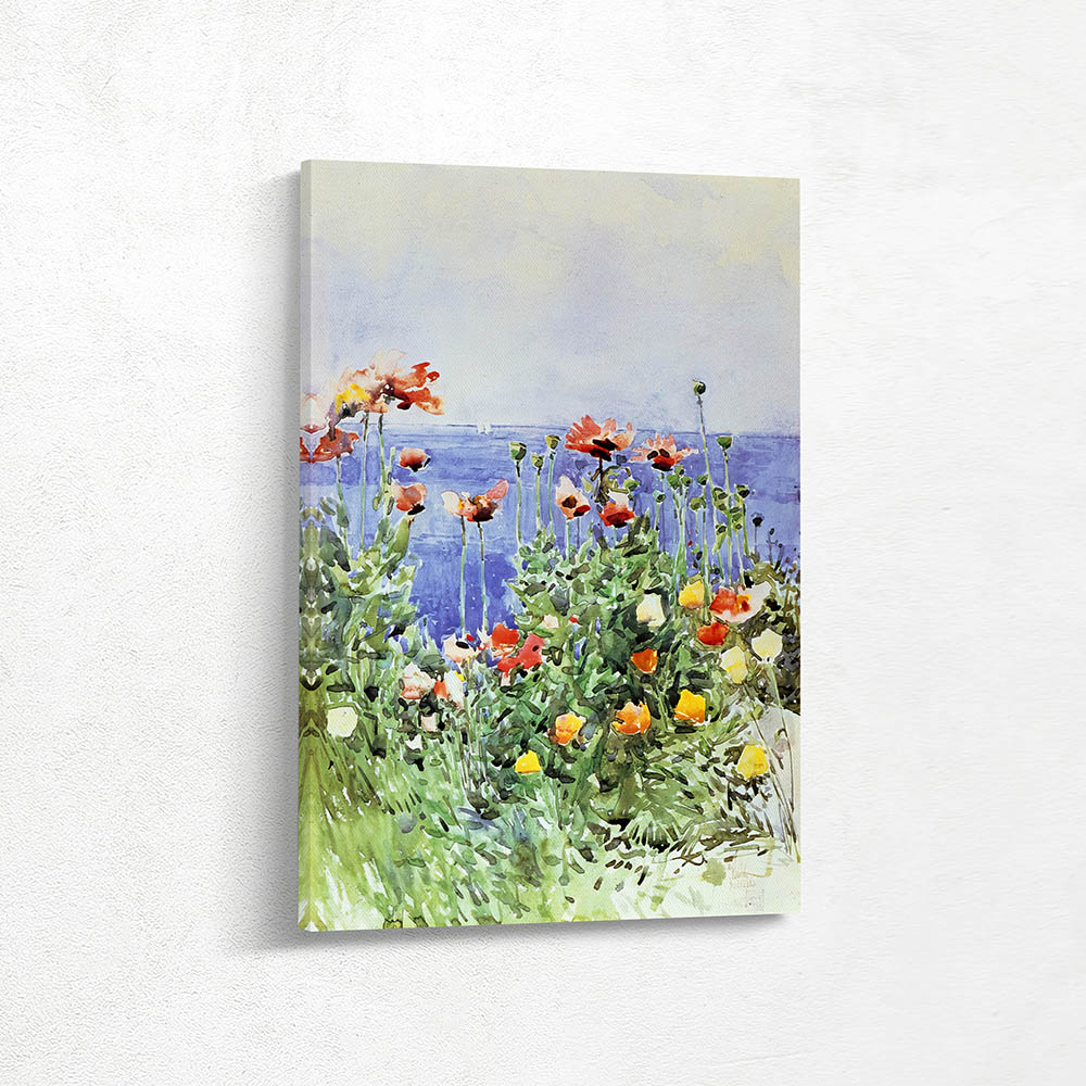 Poppies, Isles of Shoals 02