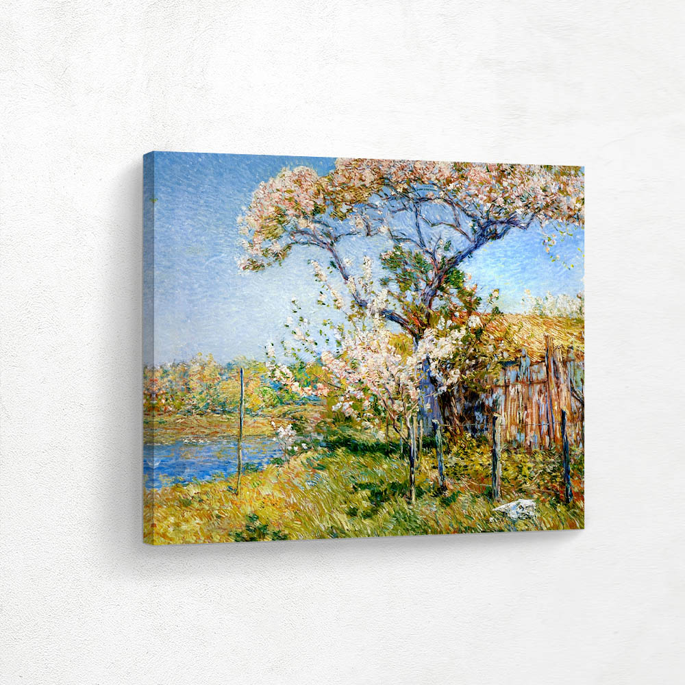 Apple Trees in Bloom, Old Lyme