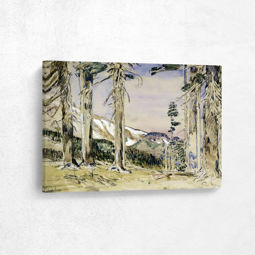 End of Timberline, Mt. Hood