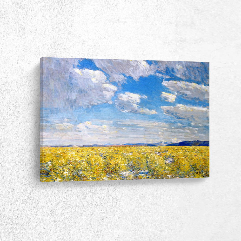 Afternoon Sky, Harney Desert