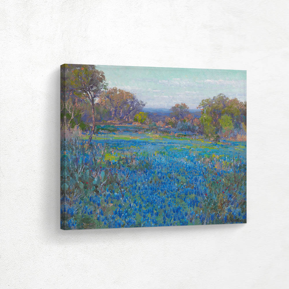 A field of Bluebonnets, late afternoon sunlight