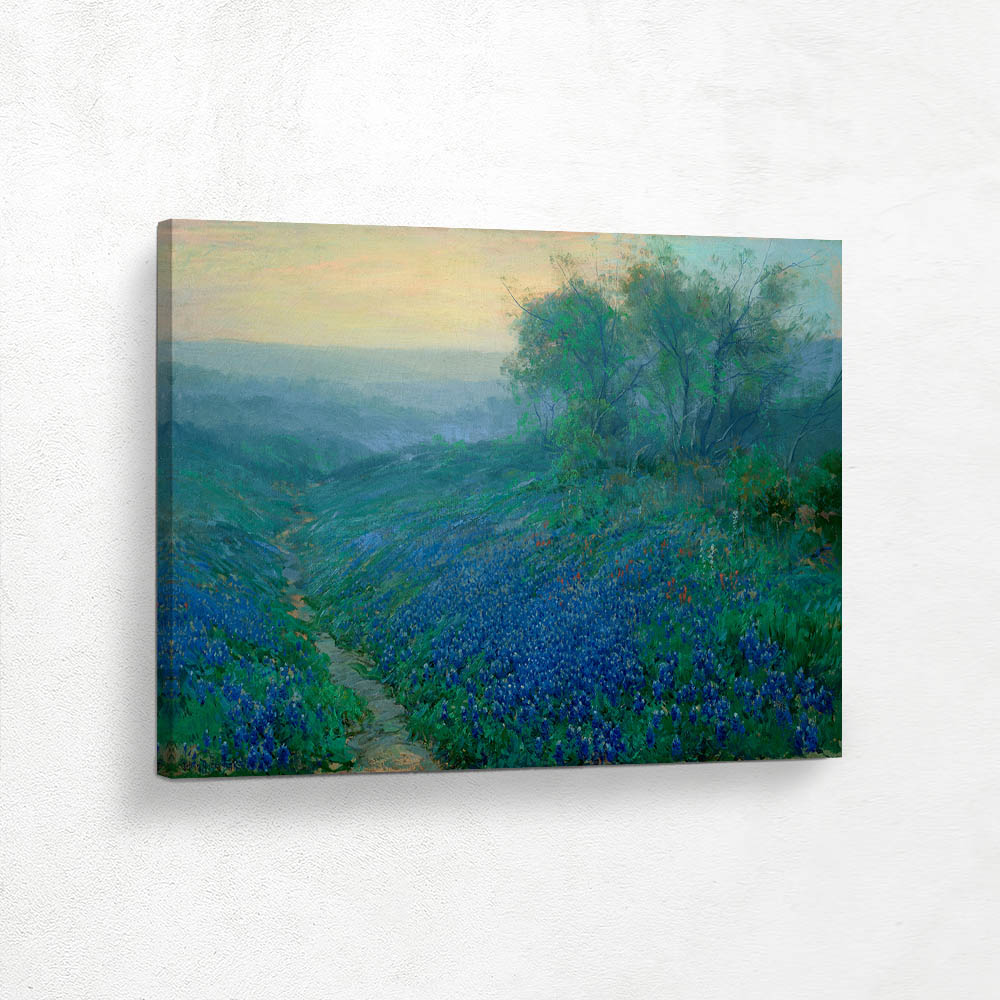 Bluebonnets at Dawn, North of San Antonio