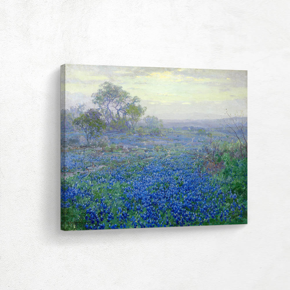 A Cloudy Day, Bluebonnets near San Antonio, Texas