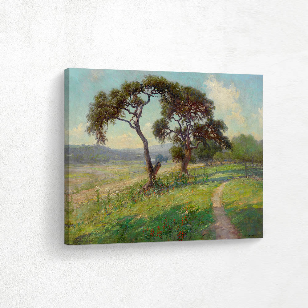 Untitled (Texas Hill Country Landscape)