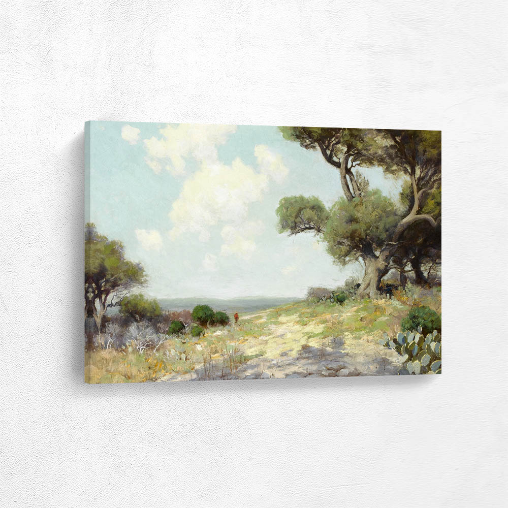 In the Hills — Southwest Texas