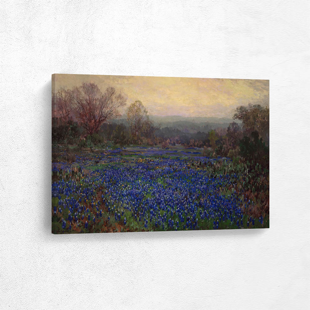 Field of Bluebonnets