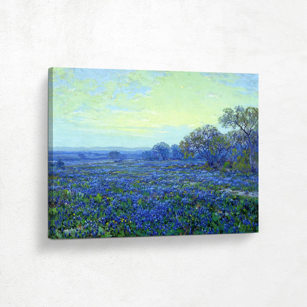 Field of Bluebonnets under Cloudy Sky Field of Bluebonnets under Cloudy Sky