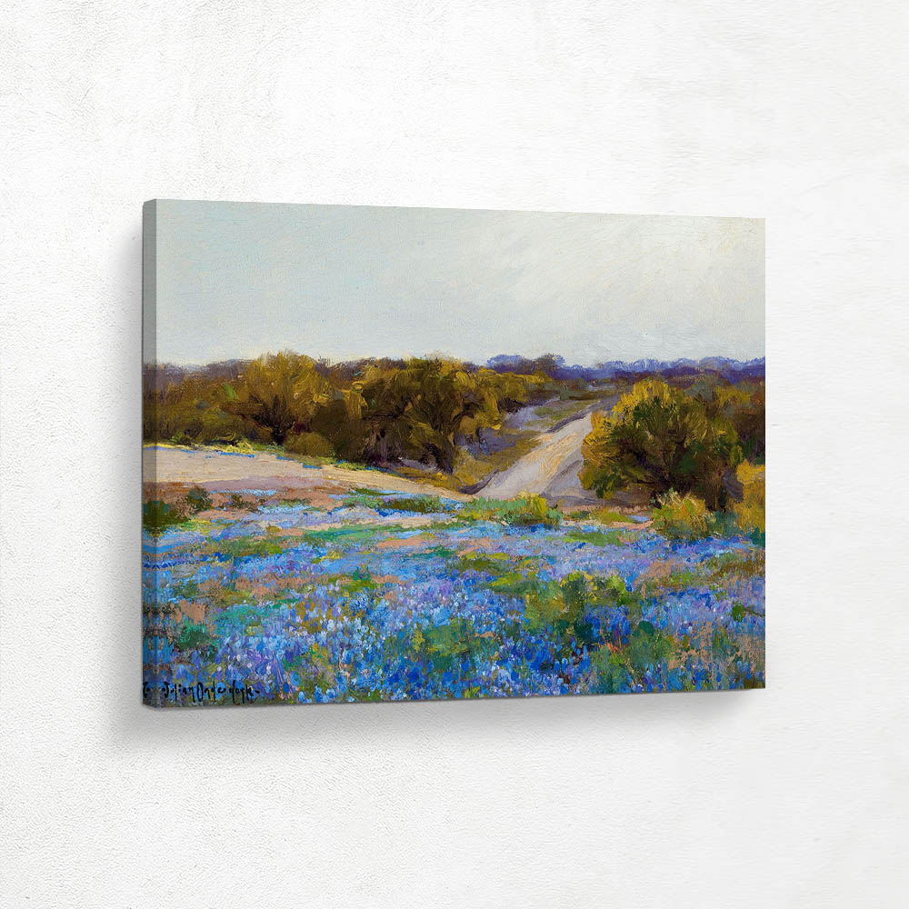 Bluebonnets at Late Afternoon