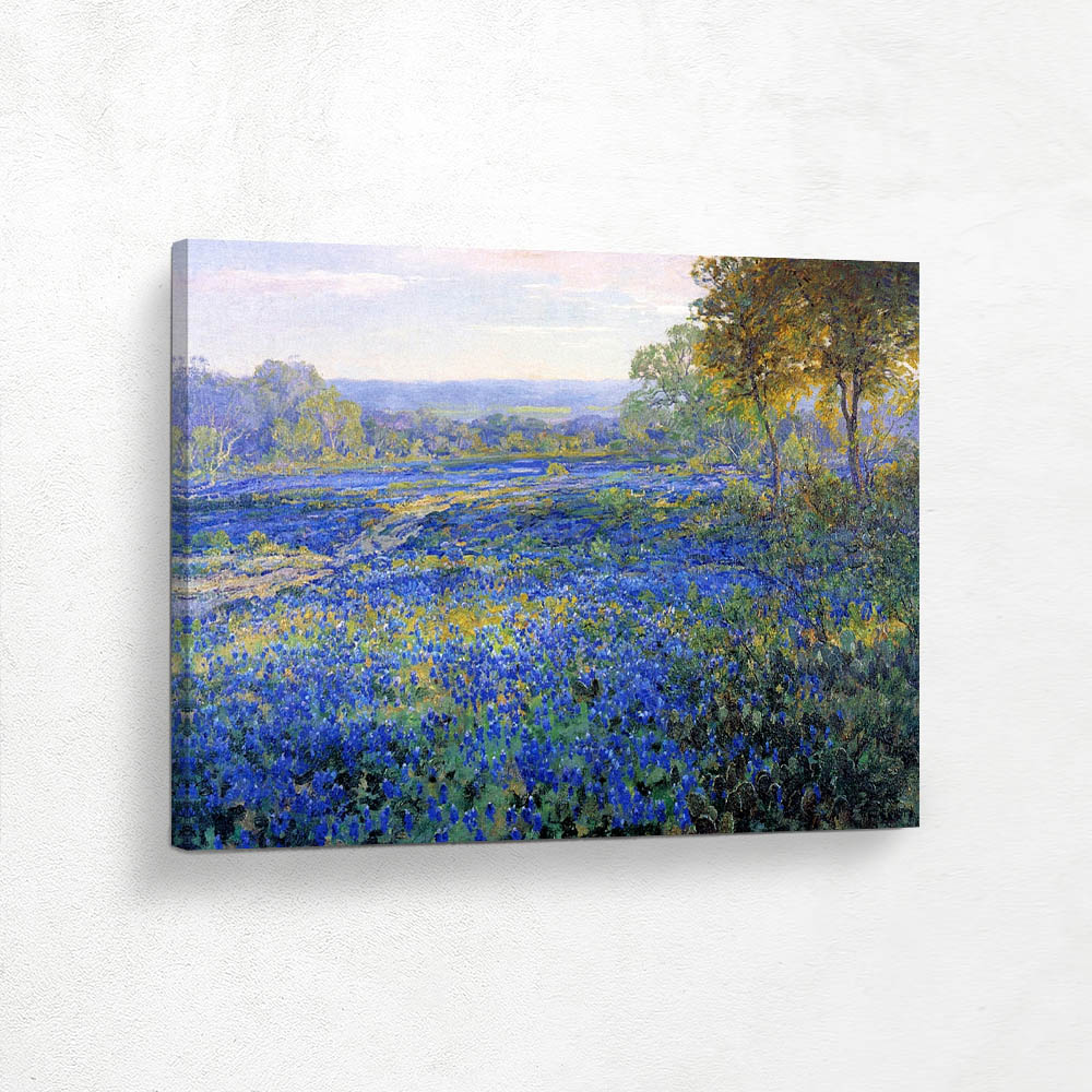 Fields of Bluebonnets