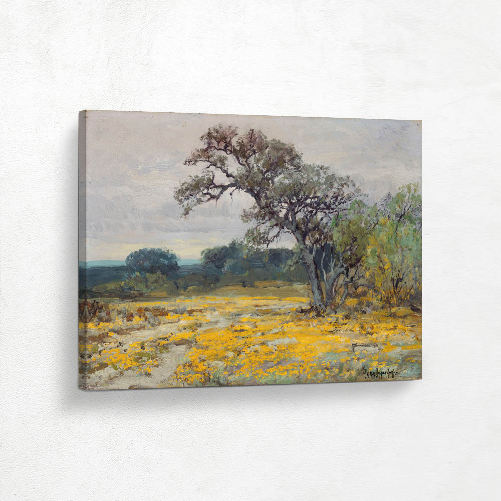 Coreopsis, Near San Antonio, Texas Coreopsis, Near San Antonio, Texas