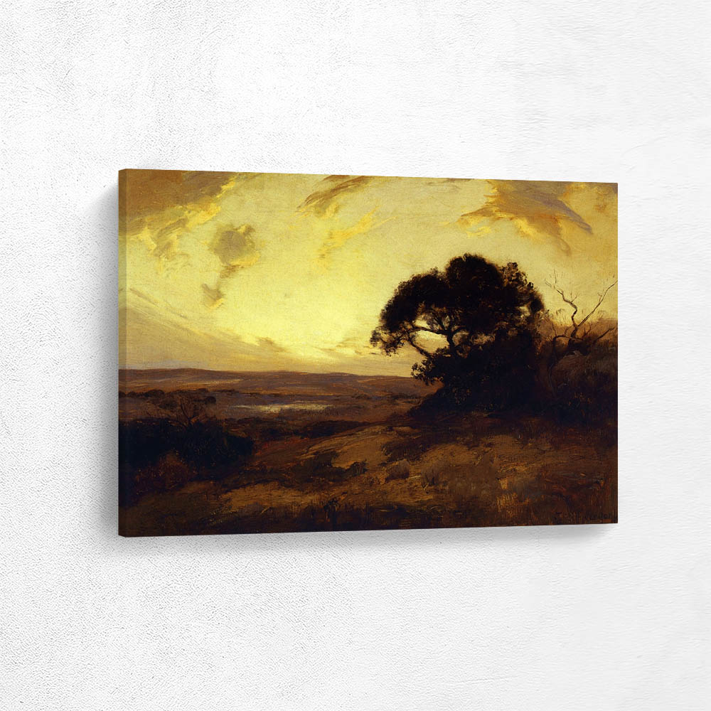 Golden Evening, Southwest Texas