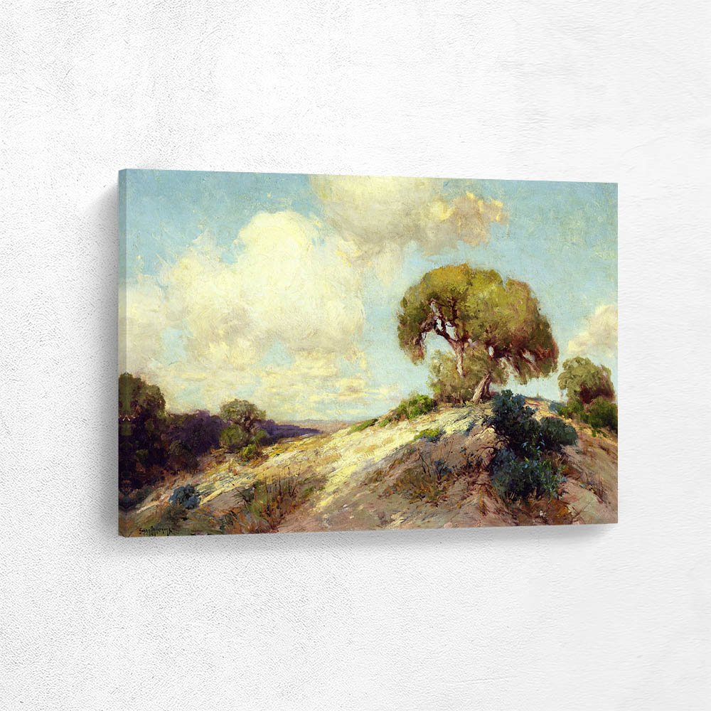 Sunlit Hillside