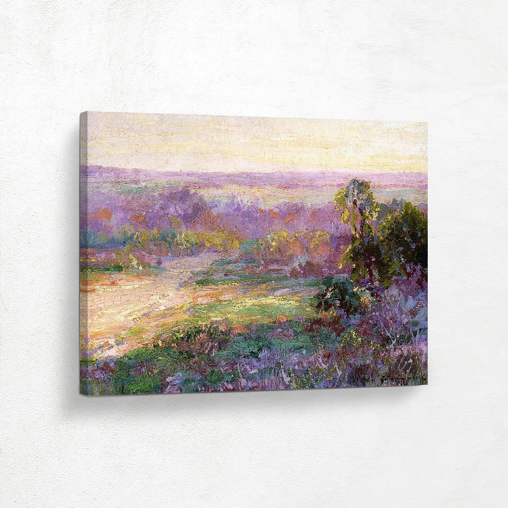 Last Rays of Sunlight, Early Spring in San Antonio