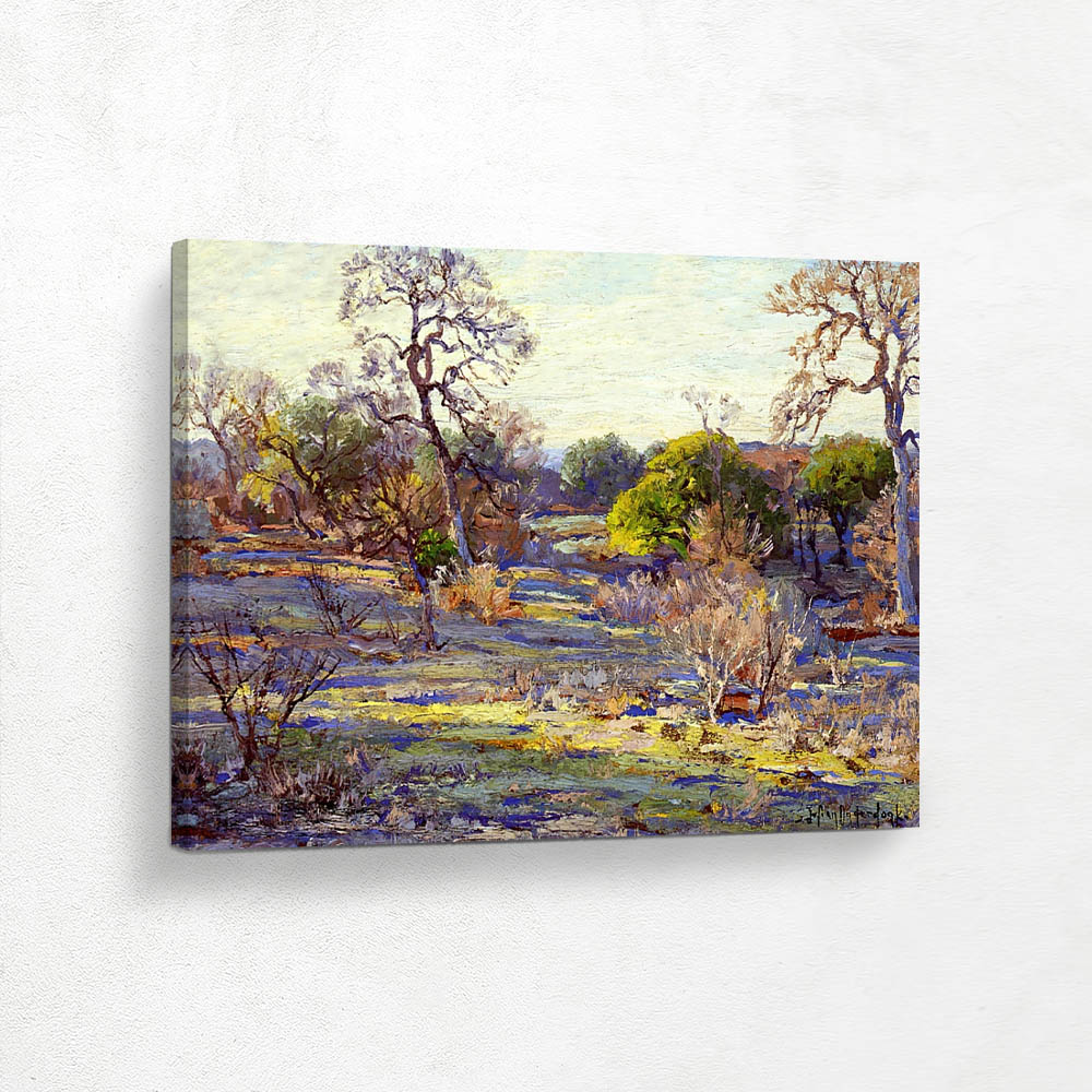 Late Afternoon, Alamo Heights, San Antonio, Texas