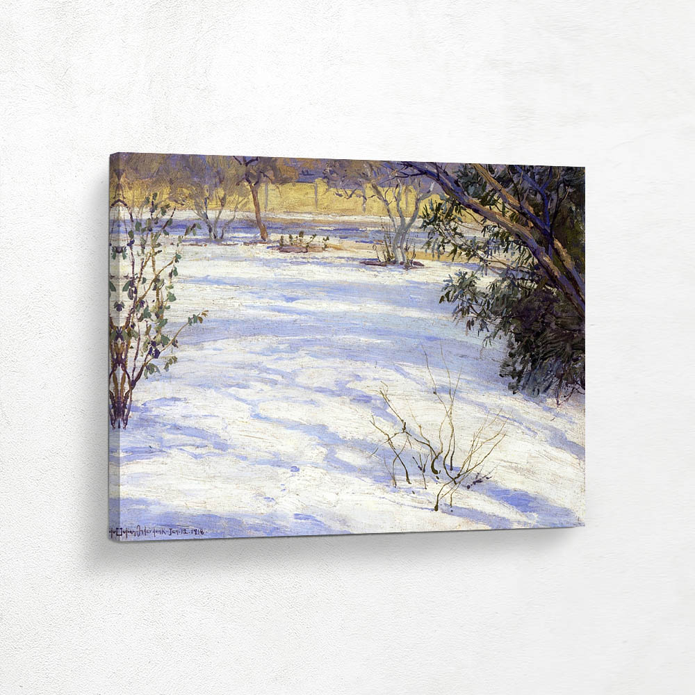 Snow Scene