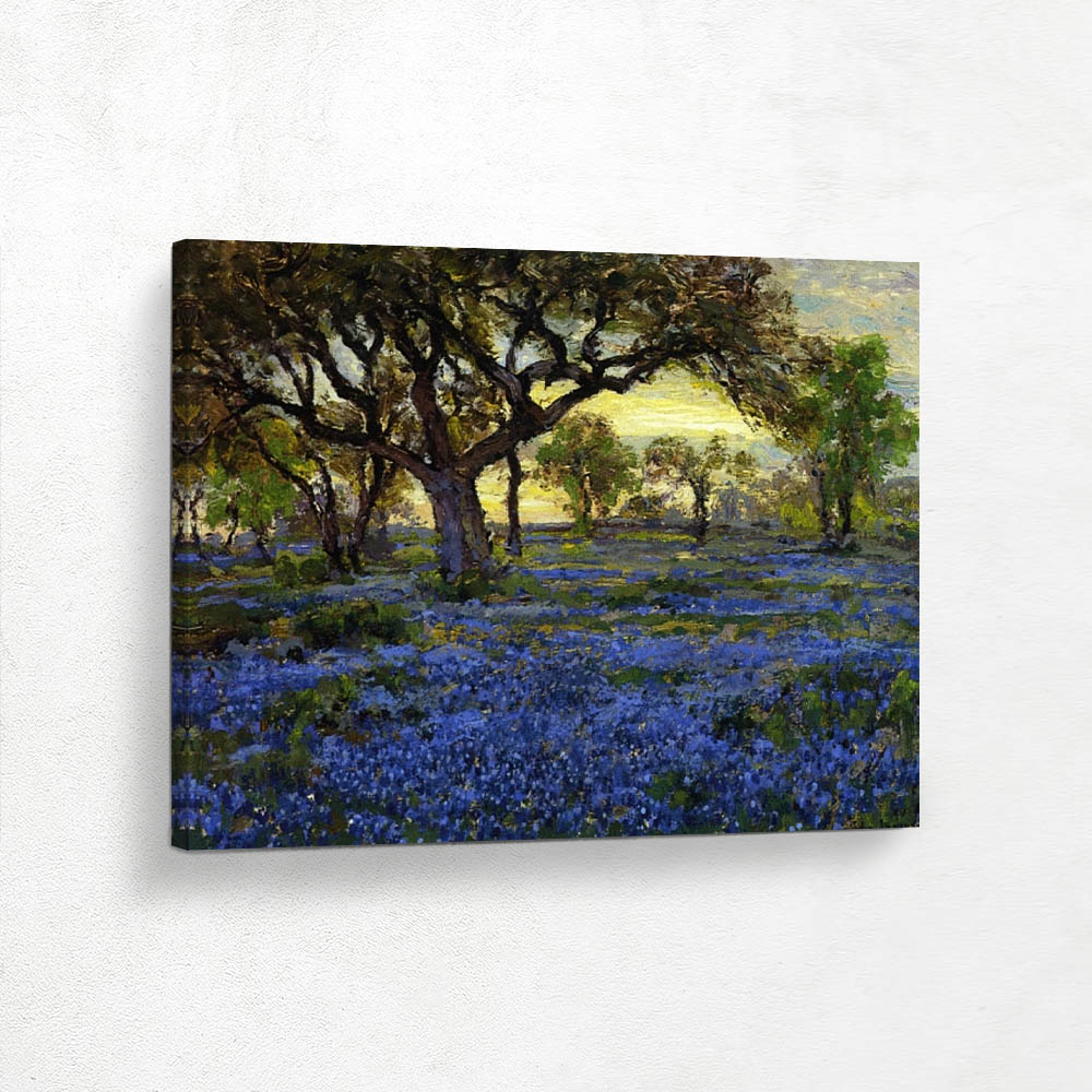 Old Live Oak Tree and Bluebonnets on the West Texas Military Grounds, San Antonio