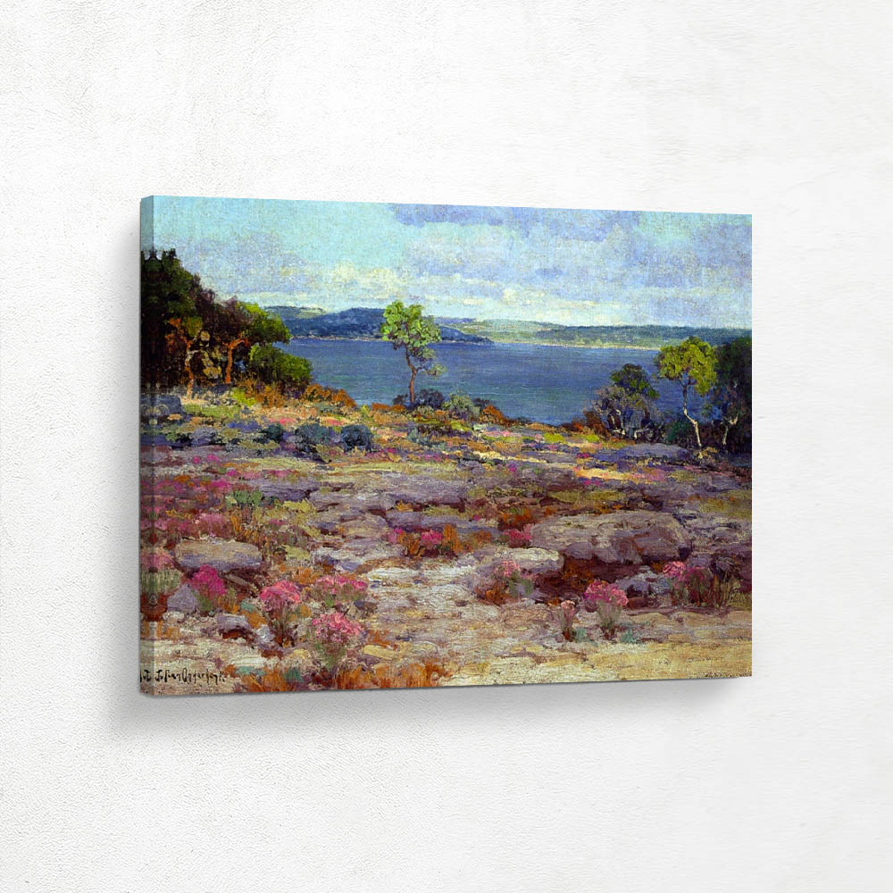 Mountain Pinks in Bloom, Medina Lake, Southwest Texas