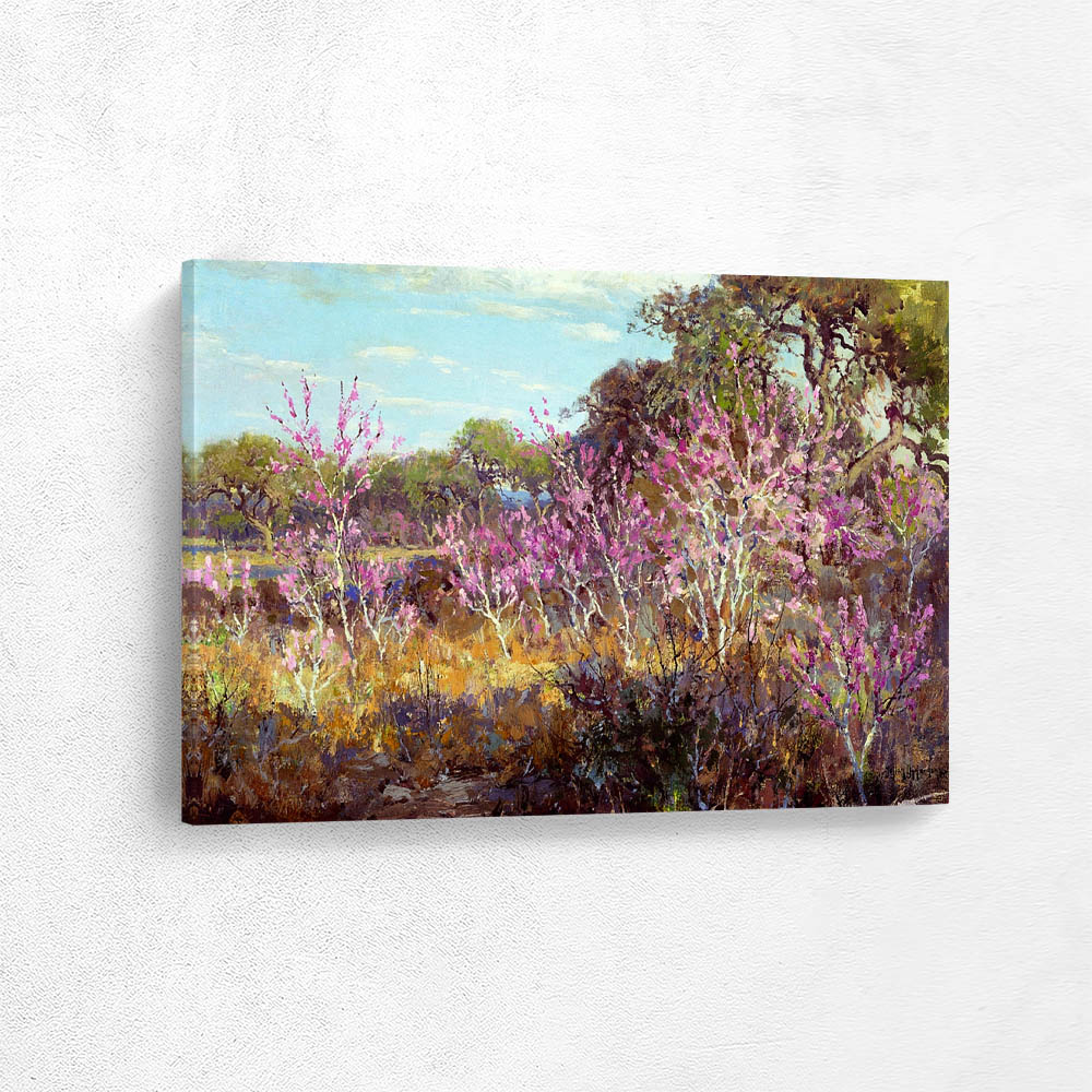Redbud Tree in Bloom at Leon Springs, San Antonio