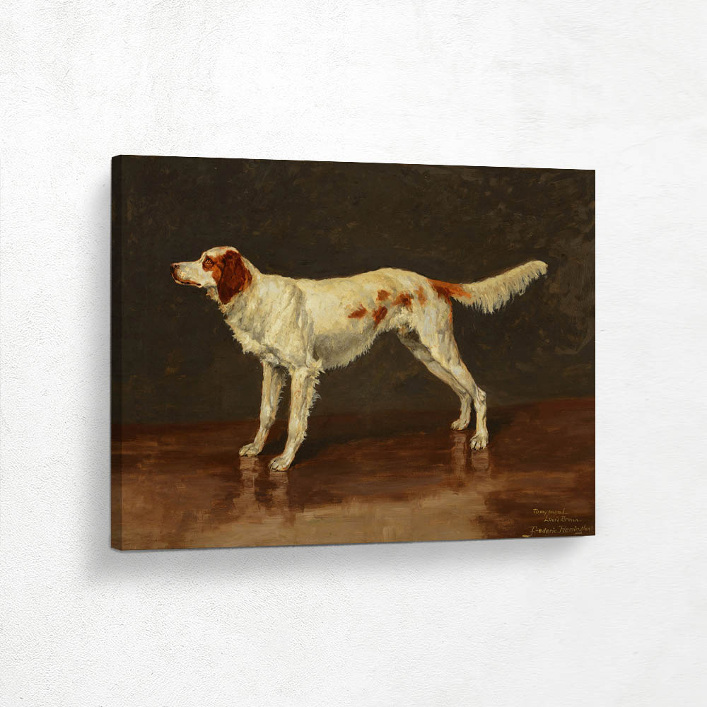 Louis Brown’s English Setter
