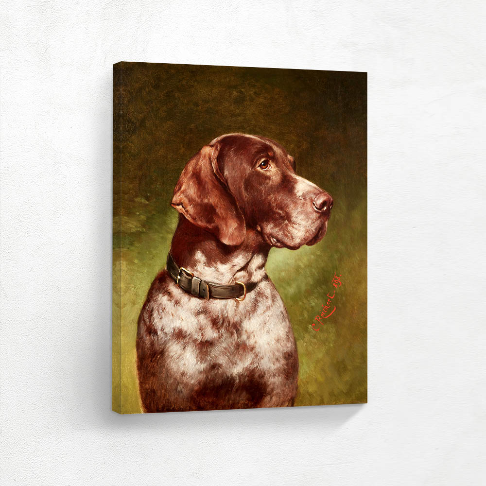 Head of a German Shorthaired Pointer